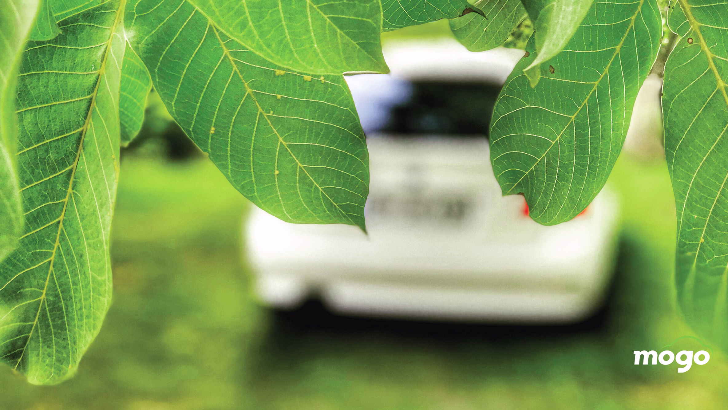 კატალიზატორი: რაობა და ფუნქცია