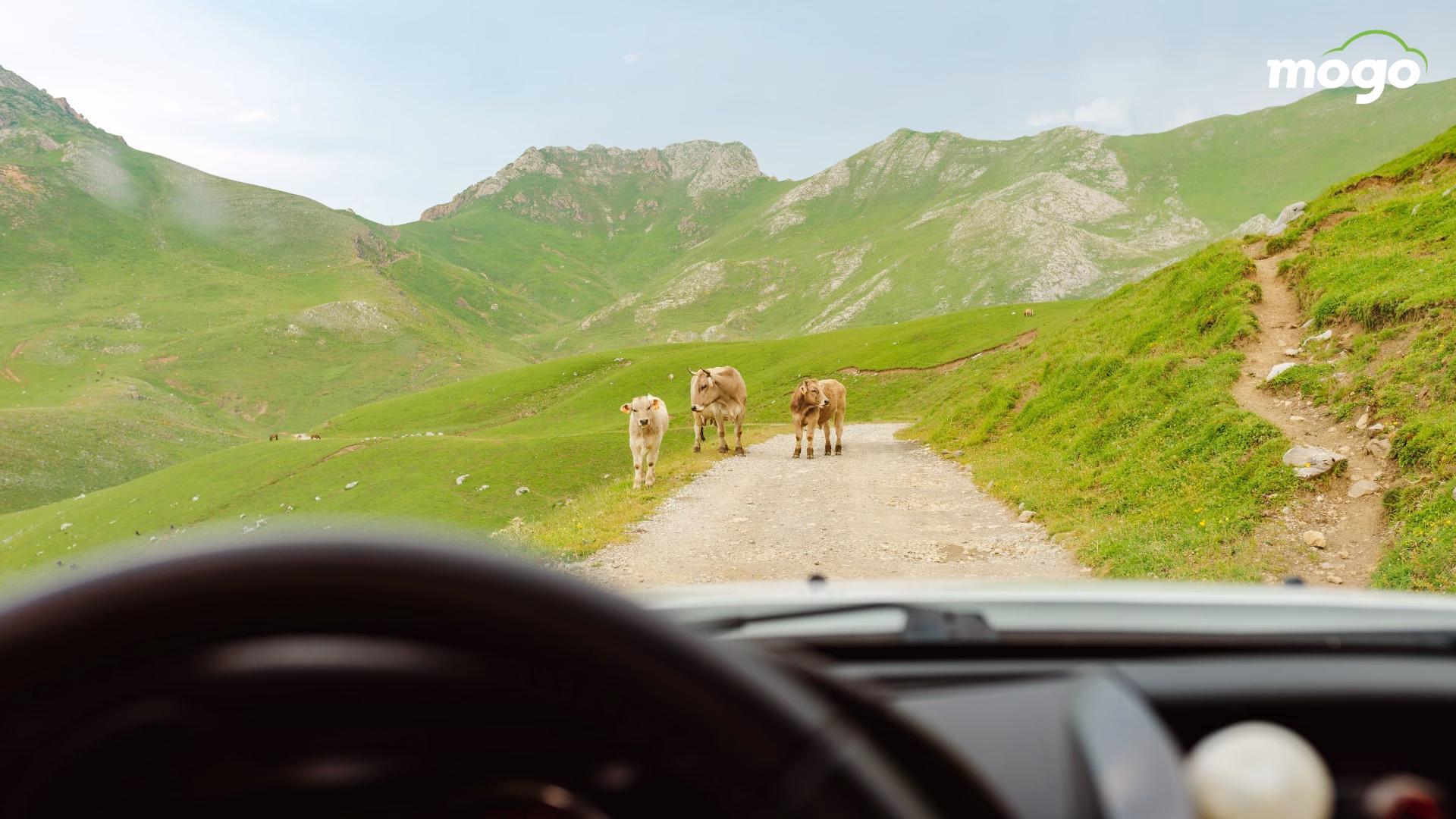 The Best Places to Explore in Georgia by Car - Ideal Road Trip Routes