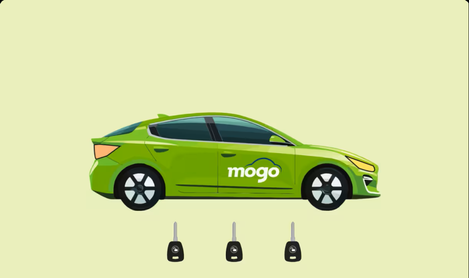 უკვე მიეცი ხმა შენს ქალაქს? მაშინ გადაიკითხე თამაშის წესები